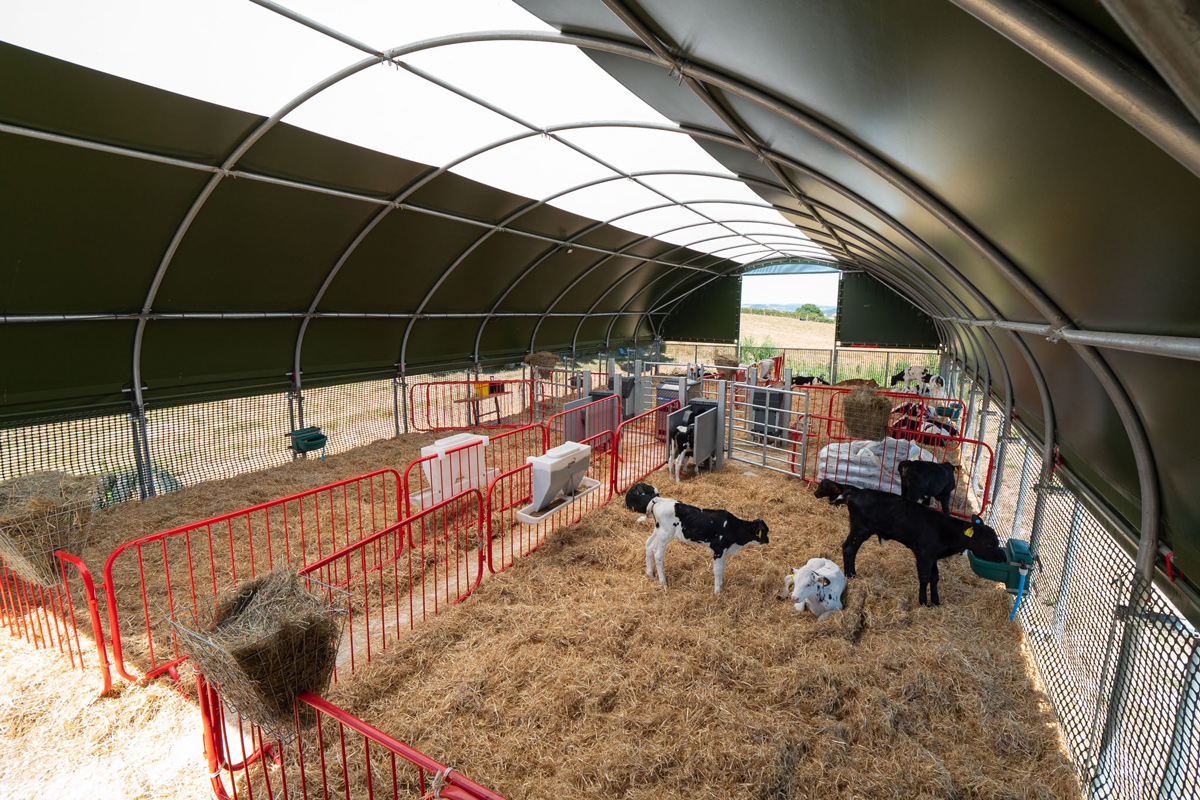 calf-shelters