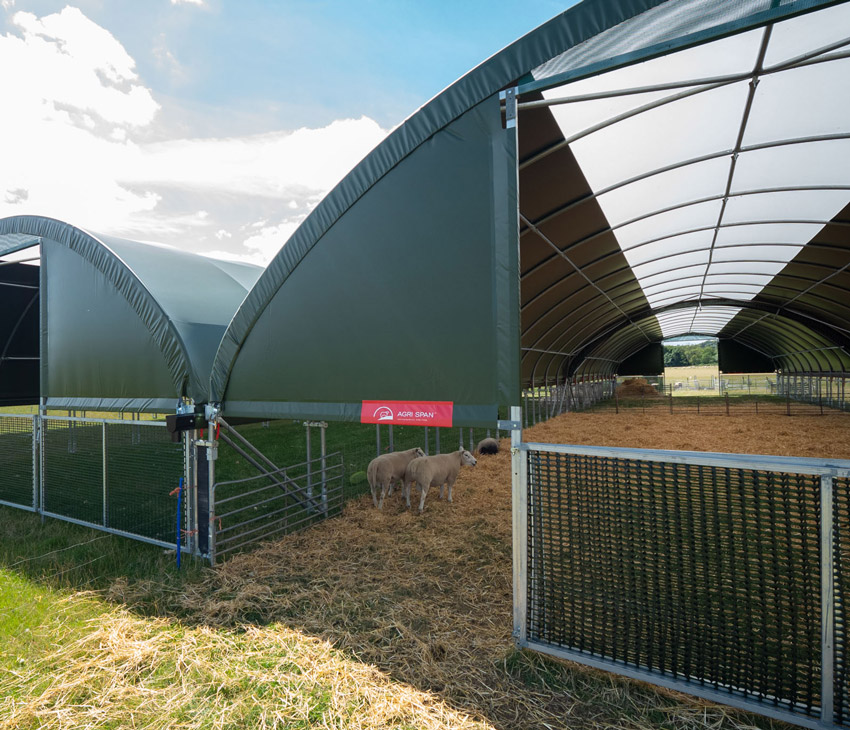 Cattle Housing